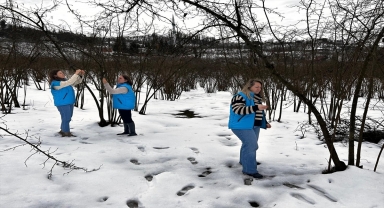 Kar fındıkta verim kaybına neden olmadı
