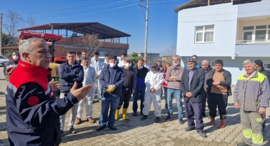 Terme'de kahverengi kokarca ile mücadele sürüyor