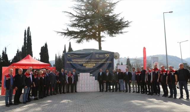 Trabzon'da kahverengi kokarca zararlısıyla mücadele sürüyor