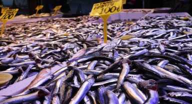 Trabzon'da ramazanda balığa talep arttı