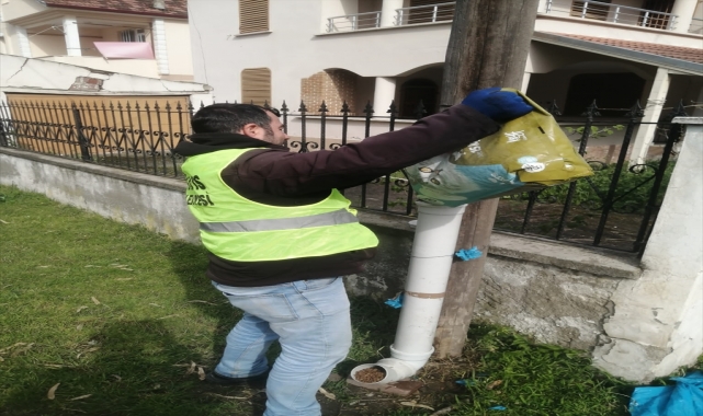 19 Mayıs Belediyesi’nden sahipsiz hayvanlara mama desteği