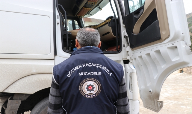 Amasya'da canlı hayvan taşıyan tırlarda 5 düzensiz göçmen yakalandı