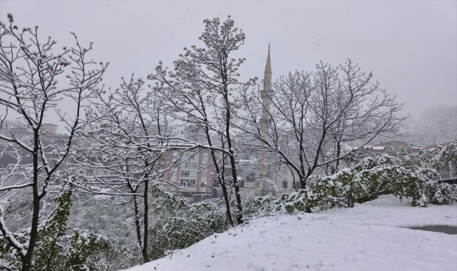Ordu'nun yüksek kesimlerinde kar etkili oluyor