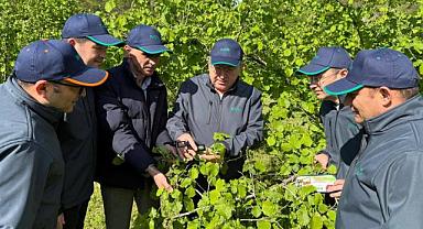 TZOB Genel Başkanı Bayraktar, don afetini değerlendirdi