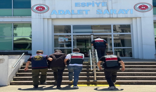 Giresun'da cinayet hükümlüsü yakalandı