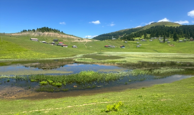 Gölyanı Yaylası'nı turizme kazandırma çalışmaları