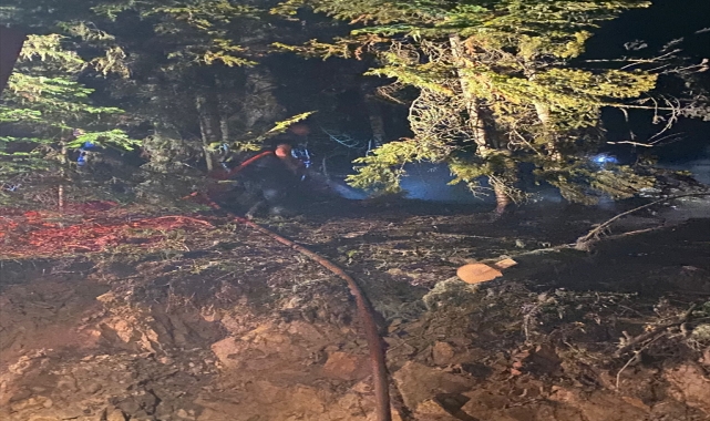 Gümüşhane'de ormanlık alanda çıkan yangın söndürüldü