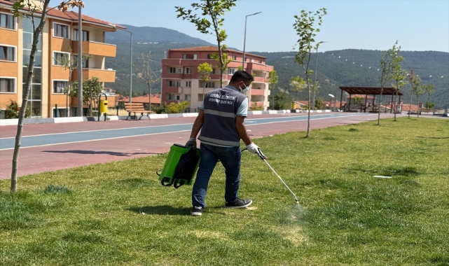 Karabük'ten kısa kısa