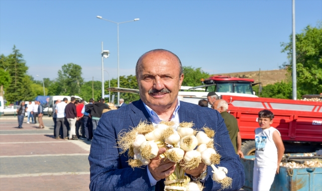 Kastamonu'da hasadın ardından Taşköprü Sarımsak Pazarı açıldı