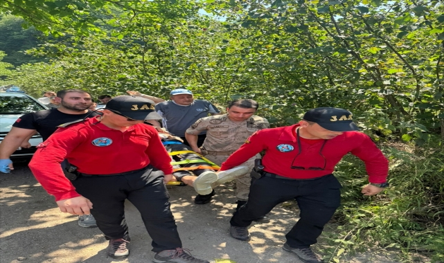 Ordu'da kaybolan Alzheimer hastası sağ bulundu