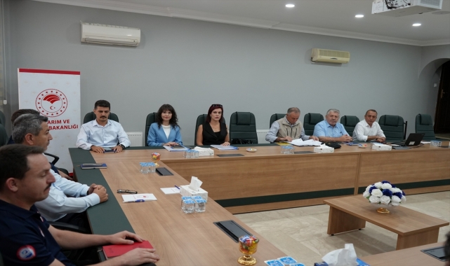 Amasya'da tarım ve hayvancılık değerlendirme toplantısı yapıldı