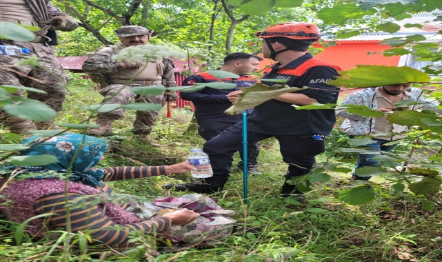 Giresun'da kaybolan yaşlı kadın sağ bulundu