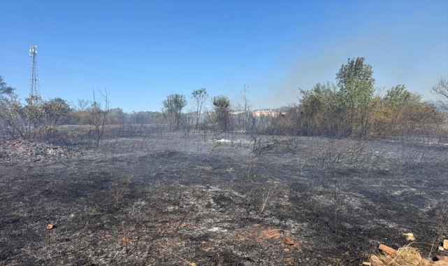 GÜNCELLEME - Bartın'da tarlada çıkıp ağaçlık alana sıçrayan yangın kontrol altına alındı