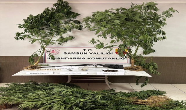 Samsun'da uyuşturucu operasyonunda 1 kişi yakalandı