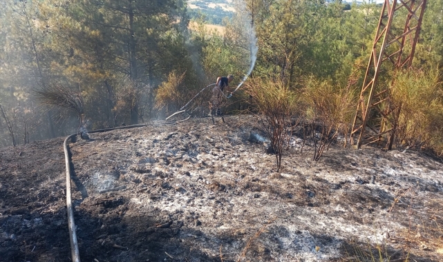 Sinop'ta çıkan orman yangınına müdahale ediliyor