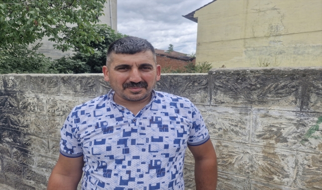 Tokat'ta kereste fabrikasındaki iki tilki cep telefonuyla görüntülendi