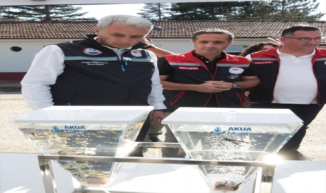 Balıkçılık ve Su Ürünleri Genel Müdürü Turgay Türkyılmaz Bolu'da incelemede bulundu