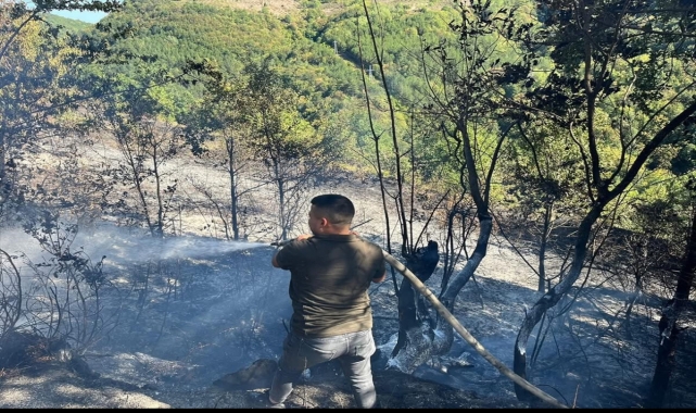 Kastamonu'da çıkan yangın ormanlık alana sıçramadan söndürüldü