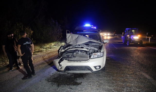 Kastamonu'da otobüs ve cipin kara yolunda çarptığı 3 inek telef oldu