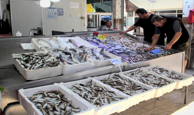 Sinop'ta balıkçılar denizden umduğunu bulamadı