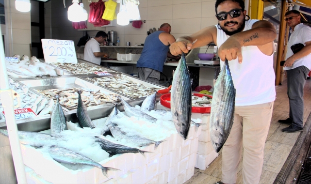 Sinop'ta bol miktarda avlanan toriklerin fiyatı 800 liraya düştü