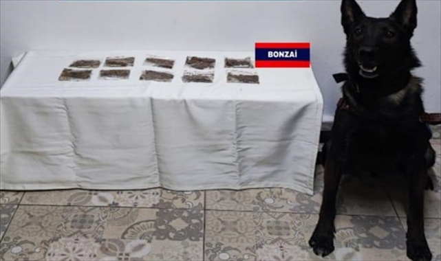 Bolu'da uyuşturucu operasyonunda 7 şüpheli gözaltına alındı