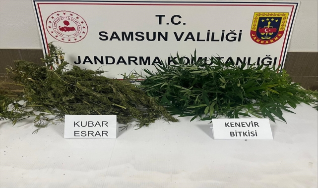 Çarşamba'da uyuşturucu operasyonunda 1 zanlı yakalandı