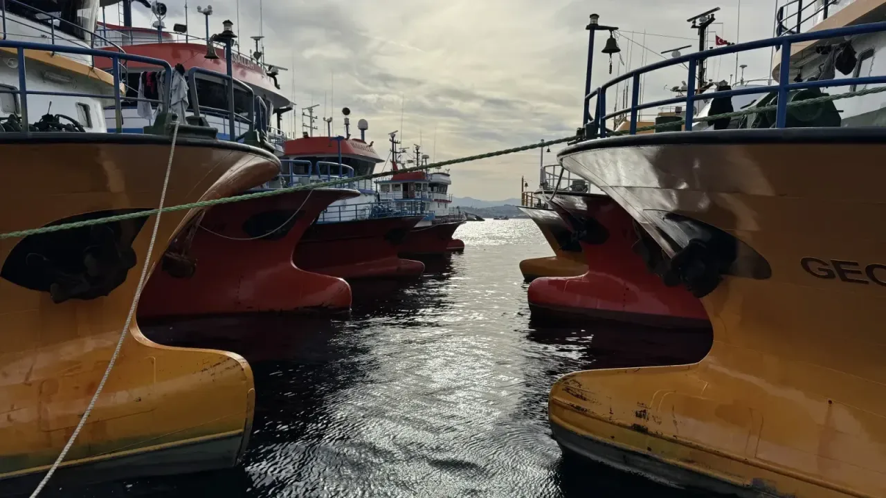 Karadeniz'de hamsi avı mesaisi sürüyor