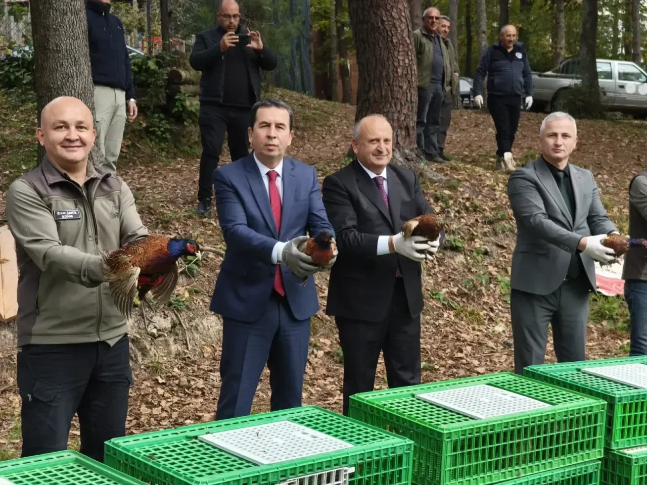 Sülünler kokarca mesaisinde