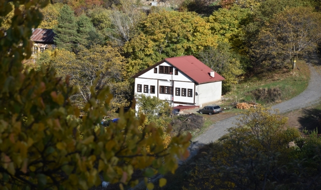 Tarihi Süleymaniye Mahallesi'nde sonbahar