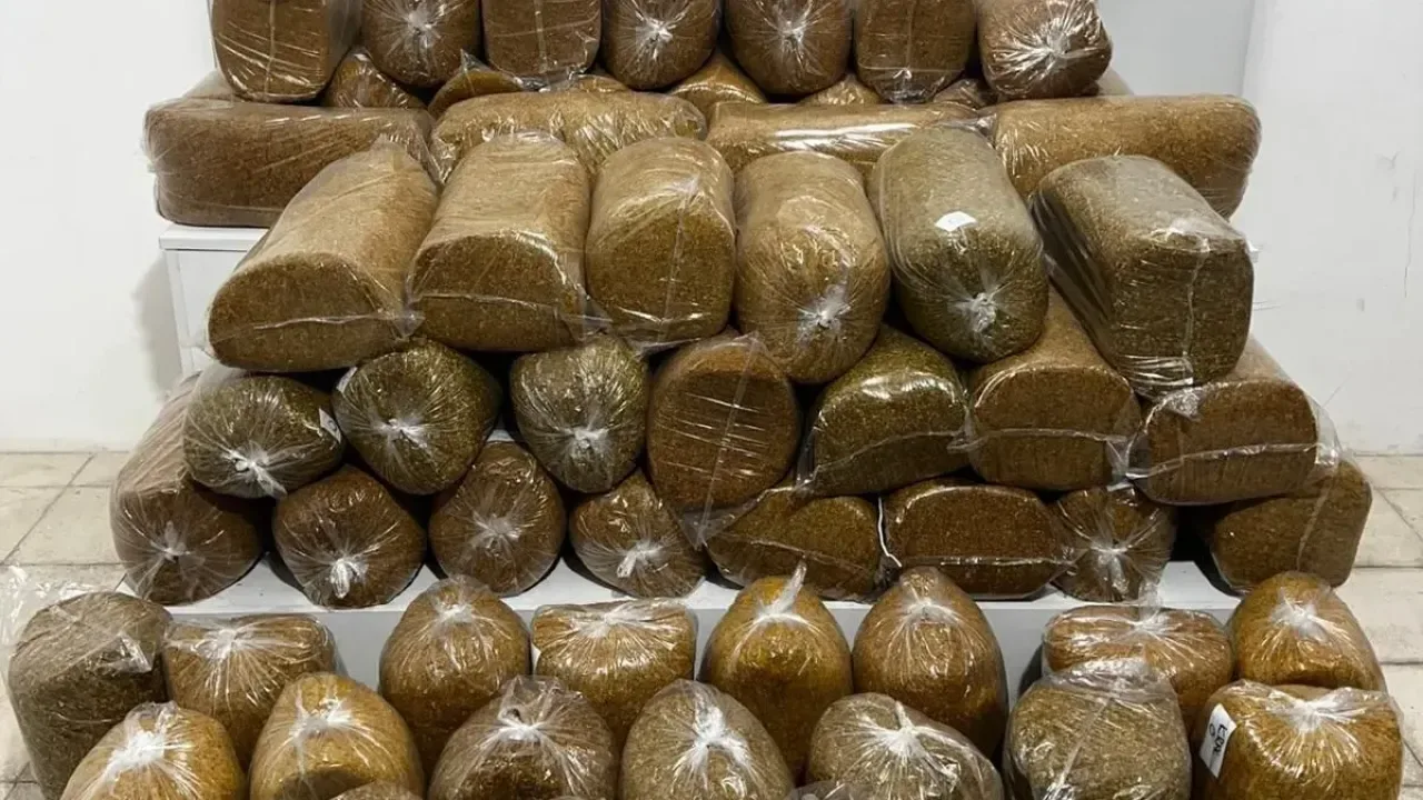 290 kilo kaçak tütün ele geçirildi