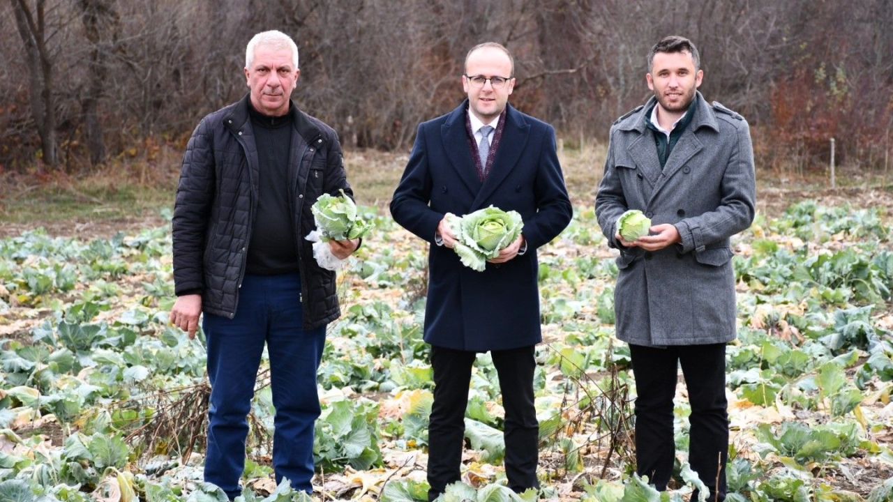 Alucra kelem pancarı coğrafi işaret alacak!