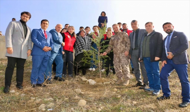 Amasya’da şehitler için fidan dikildi