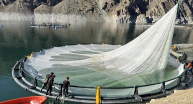 Artvin'den 67 ülkeye Türk somonu ihraç edildi