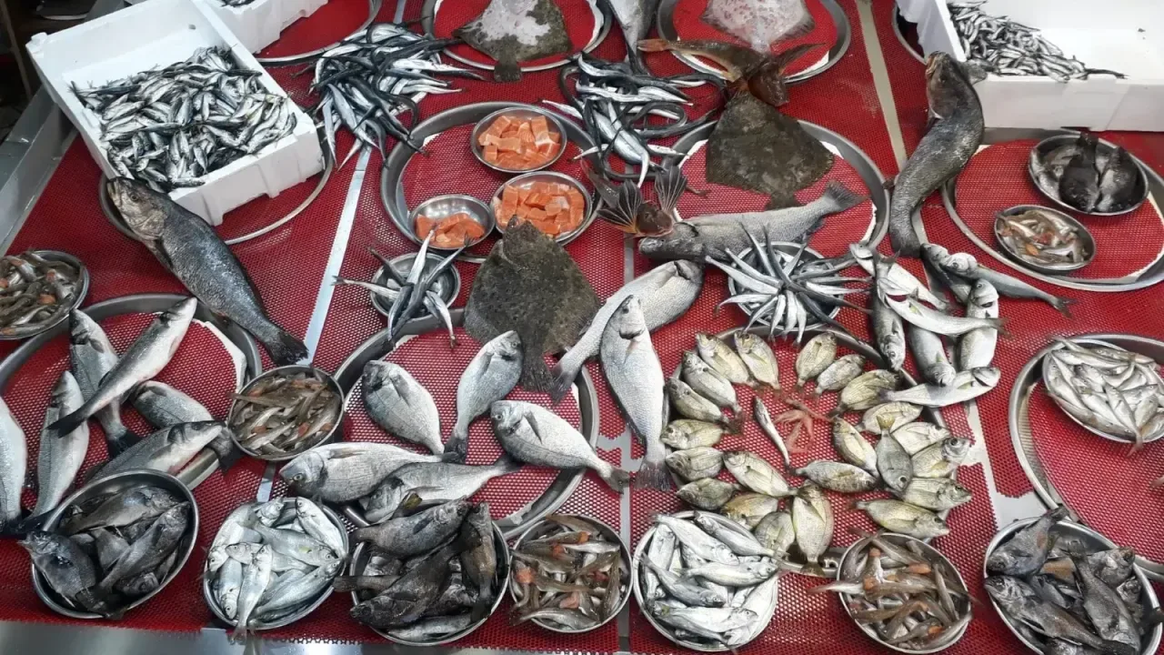 Balık stokları aşırı avlanma tehdidi altında!