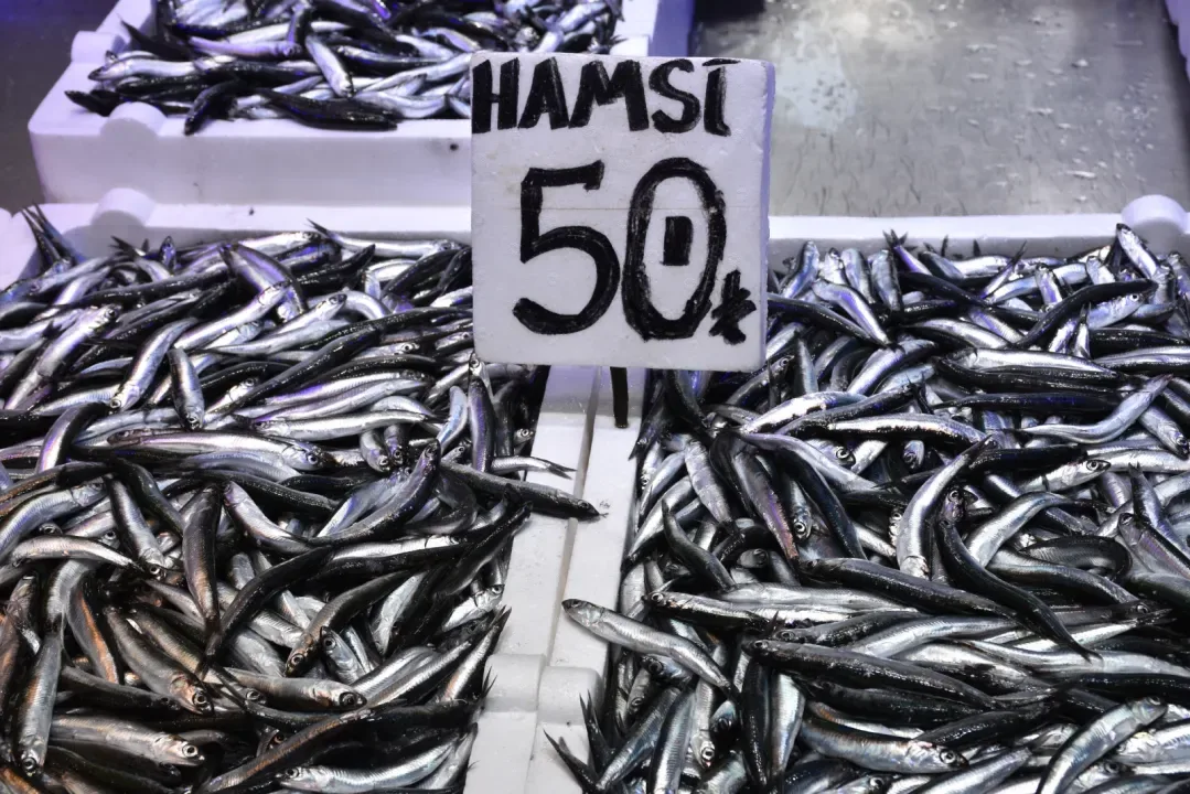 Balıkçı tezgahlarını hamsi süslüyor