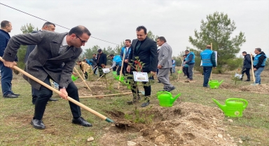Boyabat ve Türkeli'de fidanlar toprakla buluşturuldu