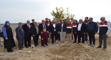 Dodurga'da 60 meyve fidanı toprakla buluşturuldu