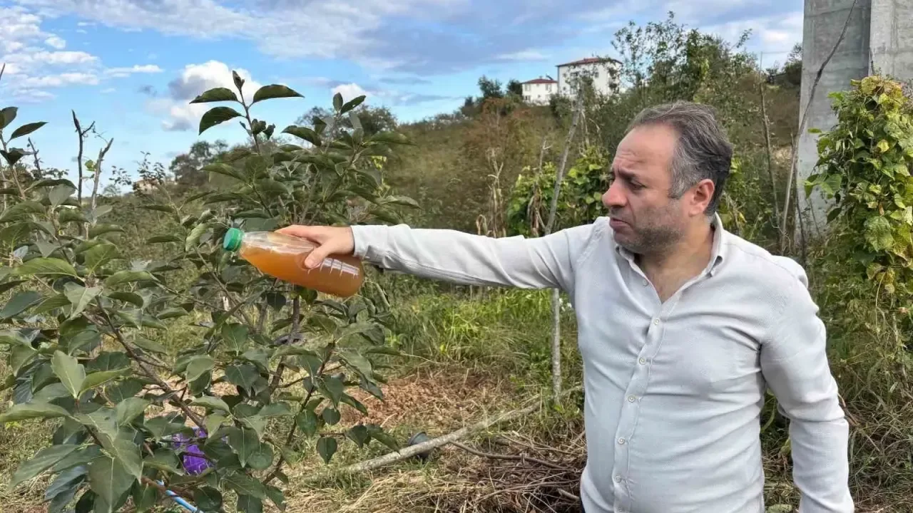 Fındık Üreticisi, Bulduğu Yöntemle Kahverengi Kokarcayı Bahçesinden Uzaklaştırdı