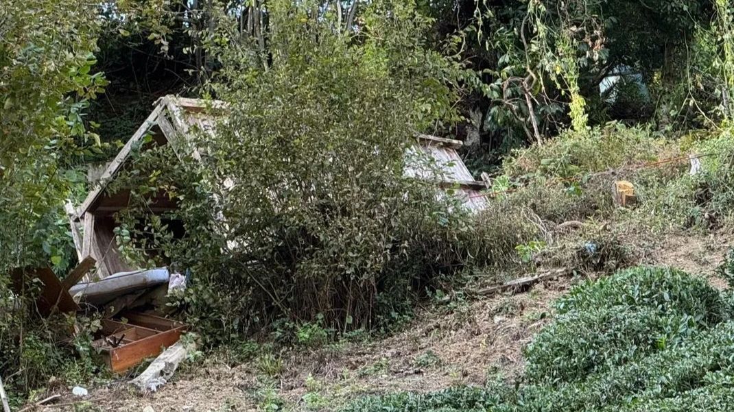 Giresun'da devrilen serentinin altında kalan köylü öldü