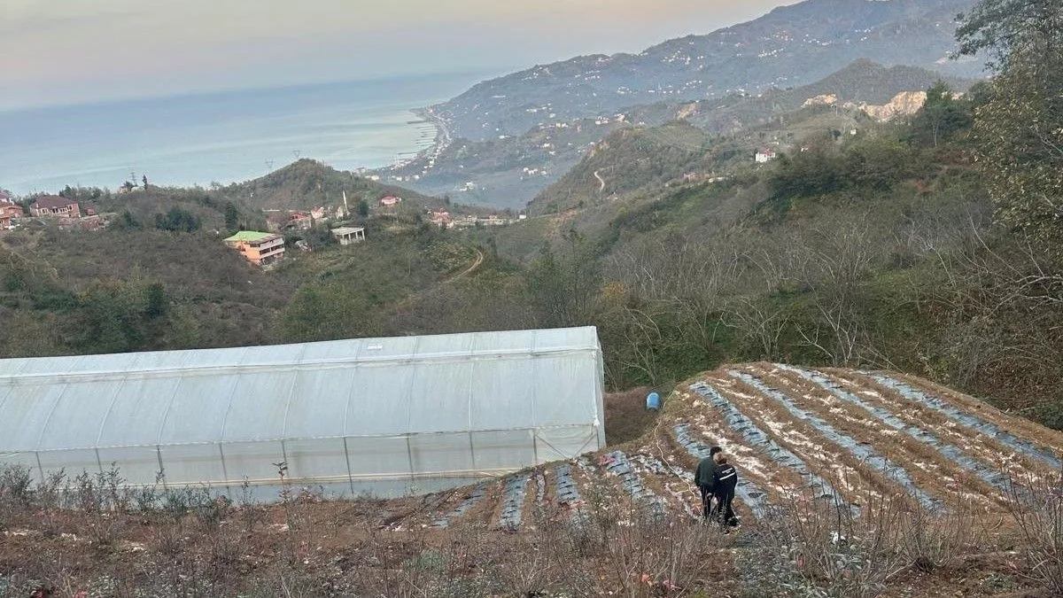 Giresun İl Tarım ve Orman Müdürlüğü Ekipleri Yürütülen Projeleri Takip Ediyor