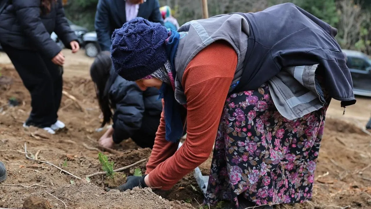 Giresun Paşakonağı’nda fidanlar toprakla buluştu