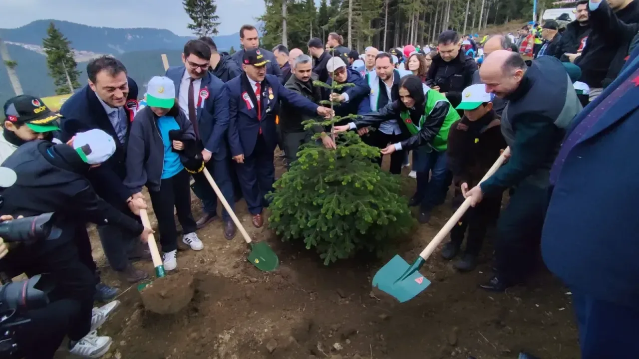 Giresun'un Kulakkaya yaylasının boş arazileri fidanla buluştu