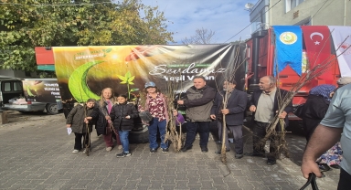 Hanönü'de Orman İşletme Müdürlüğü 1500 fidan dağıttı