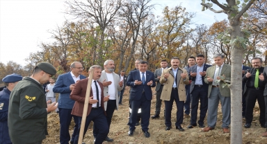 Havza'da Milli Ağaçlandırma Günü dolayısıyla fidan dikimi yapıldı