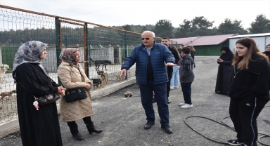 Hayvanseverler Boyabat Sokak Hayvanları Doğal Yaşam Alanı'nı ziyaret etti