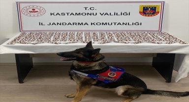 Kastamonu'da 1344 uyuşturucu hapla yakalanan şüpheli tutuklandı
