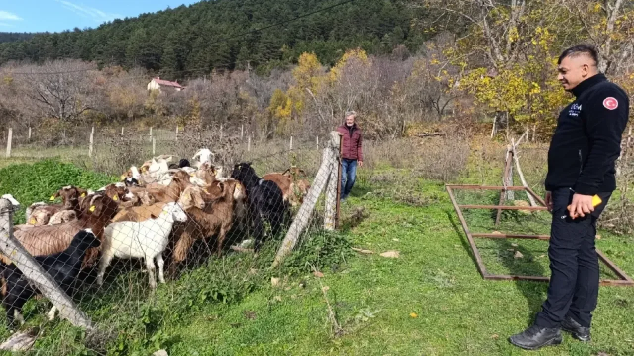 Kaybolan hayvanları ormancılar buldu 