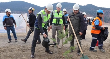 Küre'de Milli Ağaçlandırma Günü kapsamında etkinlik yapıldı