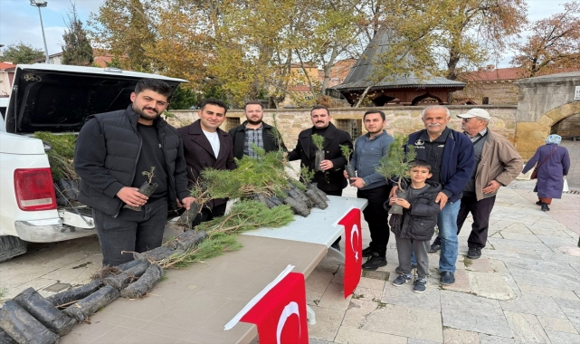 Merzifon’da şehit askerler için fidan dağıtıldı
